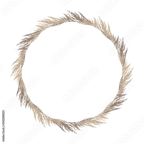 Herbal brown wreath of meadow grass Calamagrostis acutiflora, round silhouette on white background.