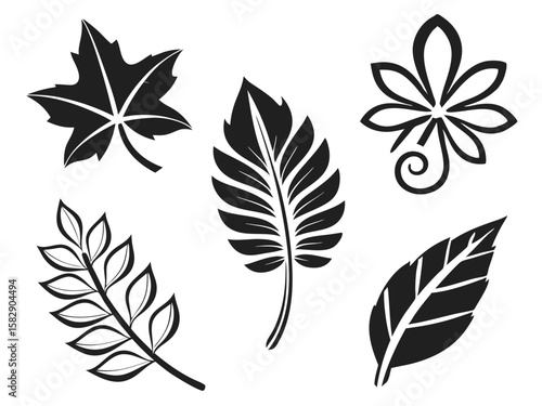 Collection of five stylized black leaf silhouettes on a white background