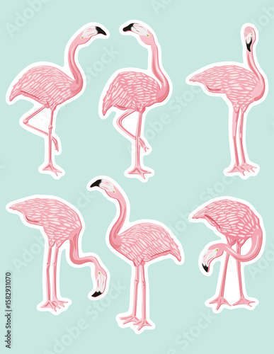 Graceful Pink Flamingo Poses Vector Collection