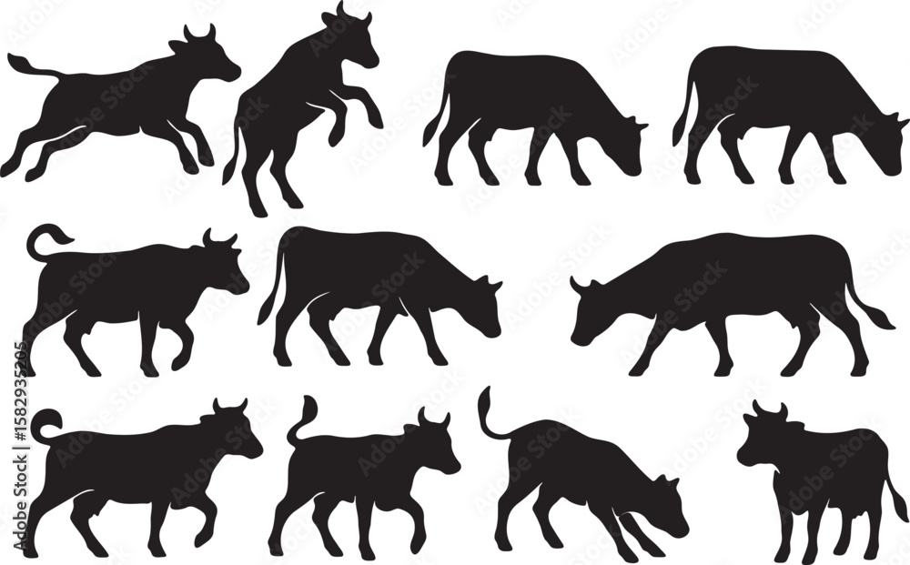 Obraz premium Black cow silhouettes various poses cattle livestock