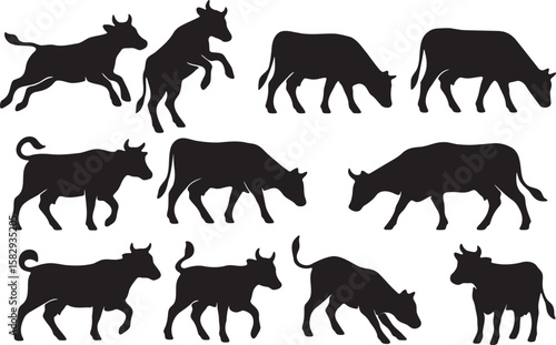 Black cow silhouettes various poses cattle livestock