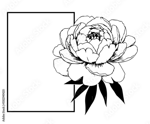 Black and white floral frame with delicate peony blossom and decorative leaves, an elegant illustration. Floral frame showcases flower blossom next to simple border, adding refinement to design.
