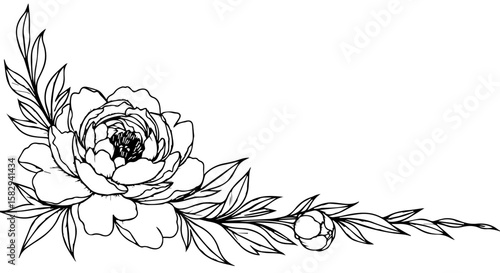 Decorative flower frame with peony blossom and leaves creates elegant floral frame. Flower frame brings natural touch to graphic design projects, adds sophistication to stationery designs,