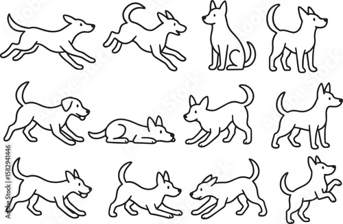 Dog poses playful running sitting lying down canine animal