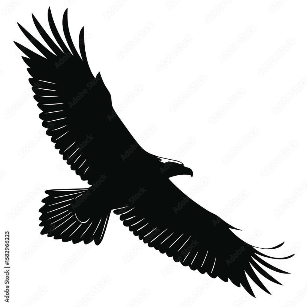 Obraz premium eagle silhouette vector