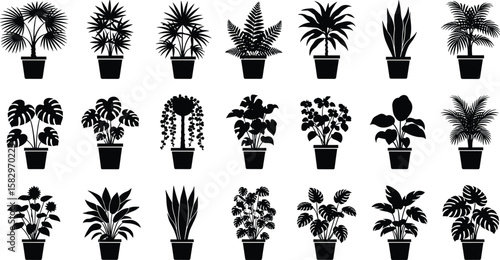 Set of indoor potted plant silhouettes, botanical houseplant vector icons, black tropical foliage clipart, decorative greenery elements isolated on white
