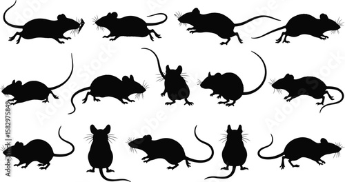 Silhouette vector illustration of mice and rats in various poses, perfect for pest control, wildlife, animal design, and educational use