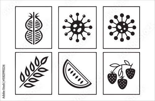 D N A virus wheat watermelon strawberry icons vector