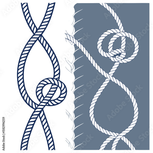 Artistic illustration of rope elements with knot details on a white and colored background