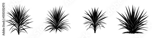 Stylized black icon of four different types of spiky plants arranged in a row, showcasing unique silhouettes against a white background