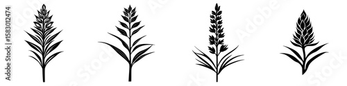 Floral black icons representing various plant species in a minimalist design