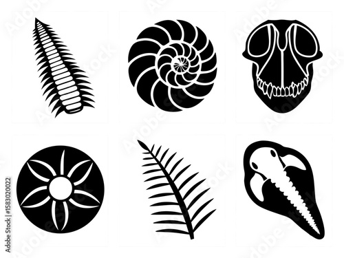 Collection of black and white silhouettes of fossils and natural forms