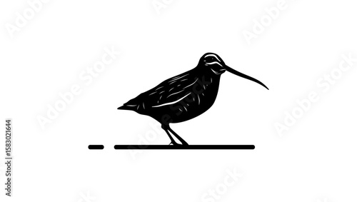 Noble Snipe bird, Black isolated silhouette