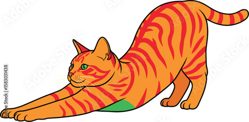 Orange tabby cat stretches against blue background. Feline stretch, flexibility, domestic pet, animal behavior