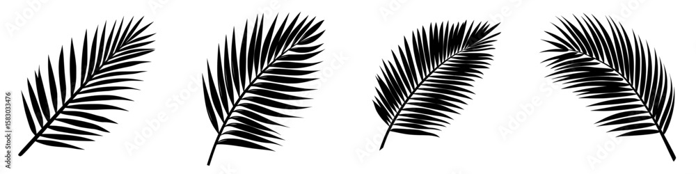 Fototapeta premium Modern graphic featuring a tropical palm leaf silhouette illustration isolated on a white background