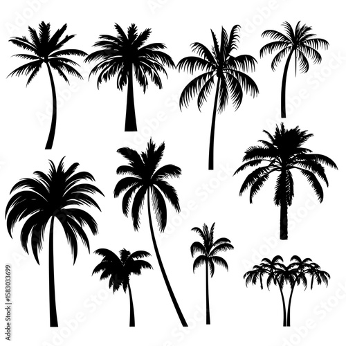 A set of hand drawn modern illustrations of palm trees in black silhouette, isolated on a white background with a highly detailed and modern aesthetic