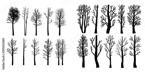 Birch trees are presented in a simple black silhouette with a modern aesthetic isolated on a white background