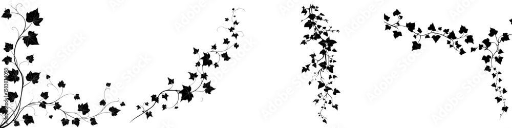 Naklejka premium This image depicts the silhouette of ivy, a climbing plant with leaves, presented in a modern clipart style
