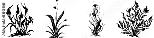 This image depicts a detailed silhouette of sea grass, also referred to as marine algae or seaweed, featuring flowing leaves and stems, in a modern clipart illustration design, with the subject being