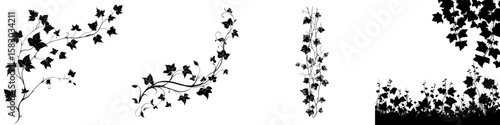 This image depicts a black silhouette of an ivy vine, complete with intricate leaves and stems, embodying both botanical and ornamental sophistication, as a modern clipart illustration