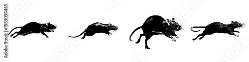 This image depicts a rat in motion, captured mid-run, with a black silhouette that showcases detailed whiskers, tail, and body posture, presented in a modern clipart illustration design