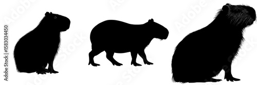 The capybara silhouette is showcased in this image as a black outline, characteristic of a large rodent indigenous to South America, styled as a contemporary clipart illustration