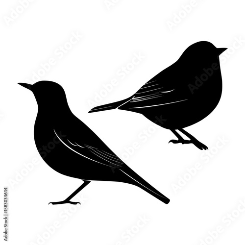 Simple and elegant black silhouette illustrations of two birds facing different directions on a white background becomes ‘Stunning black silhouettes of two birds in opposing directions set against a