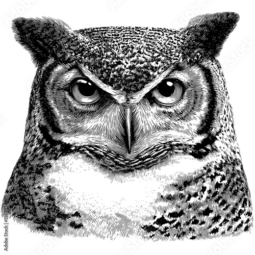 A modern clipart illustration design featuring a black silhouette of an owl's face is shown, with notable features including intense eyes, a sharp beak, and detailed feather patterns