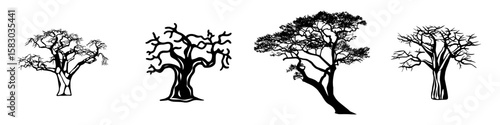 A sleek modern illustration of a baobab tree with a thick trunk and sprawling branches is rendered in a minimalist continuous line art style against a white backdrop