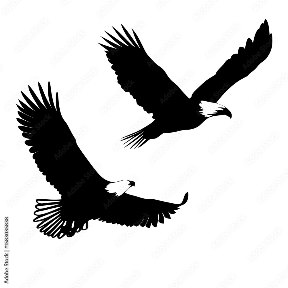 Obraz premium A clean white background serves as the perfect setting for the graceful flight of two silhouetted bald eagles