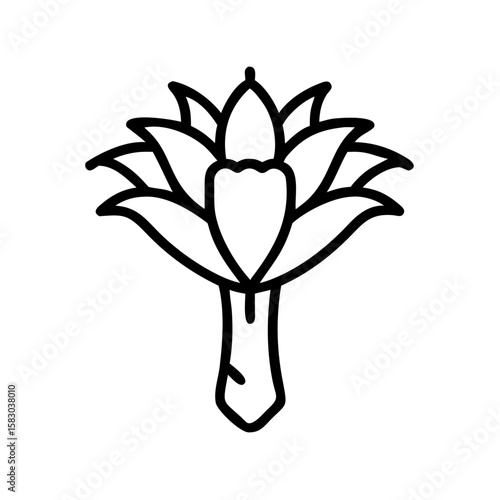 Outline icon of a blooming Welwitschia mirabilis flower  
