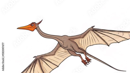 Prehistoric Pterodactylus Flying: Ancient Dinosaur Animation, Extinct Reptile & Mesozoic Era Creature, Isolated on White for Educational Content & Fantasy Projects


