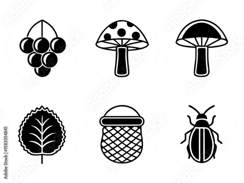 Nature icons featuring berries mushrooms leaf basket and beetle