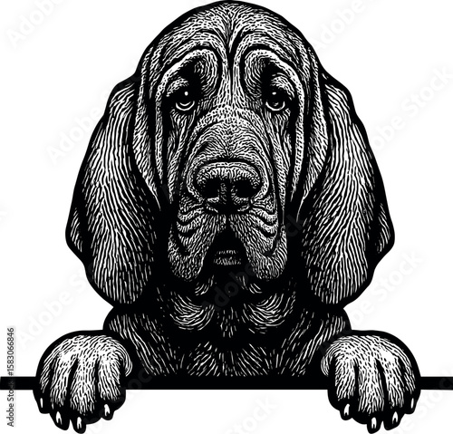 Bloodhound Peeking vector silhouette design