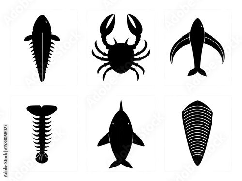 Collection of silhouetted marine life and fossils on white backgrounds