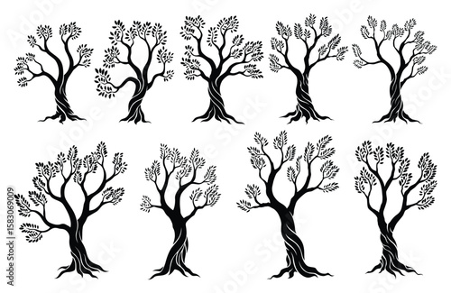 Olive trees with branches and leaves for design of packaging, label, logotype or banner. Natural organic stylized olive icon, premium quality sign. Vector illustration