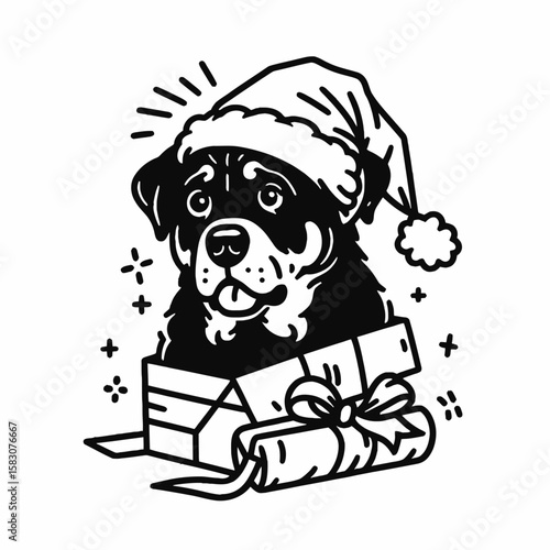 Adult Rottweiler Dog wear santa hat accidentally wrapped in Christmas paper. Holiday Clipart Line Art Vector Illustration Xmas. Mature canine headgear surprise gift mishap with xmas wrap.