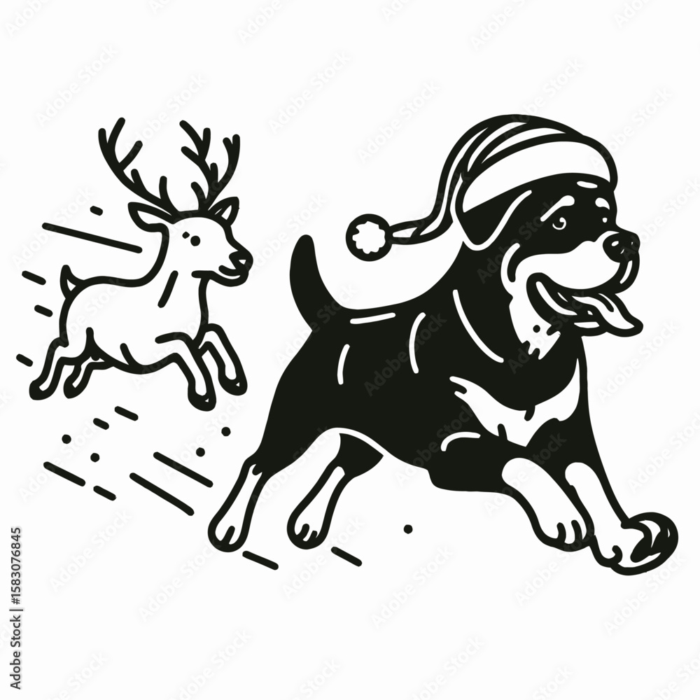 Obraz premium Adult Rottweiler Dog wear santa hat chasing a runaway reindeer. Christmas Holiday Clipart Line Art Vector Illustration Xmas. Grown canine in cap pursue escaping caribou.