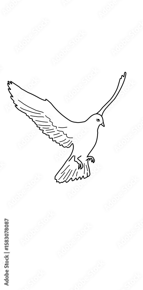 Fototapeta premium dove of peace