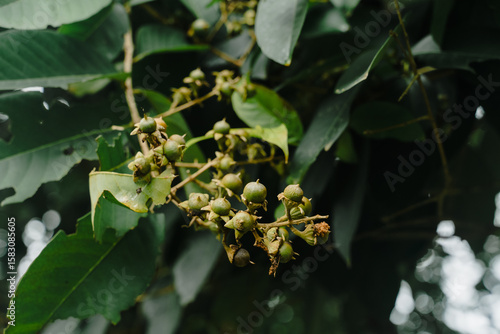 Wallpaper Mural The vibrant blooming wildflowers in the bright spring garden showcase the beauty of nature and the colorful flora, perfect for health care. Torontodigital.ca