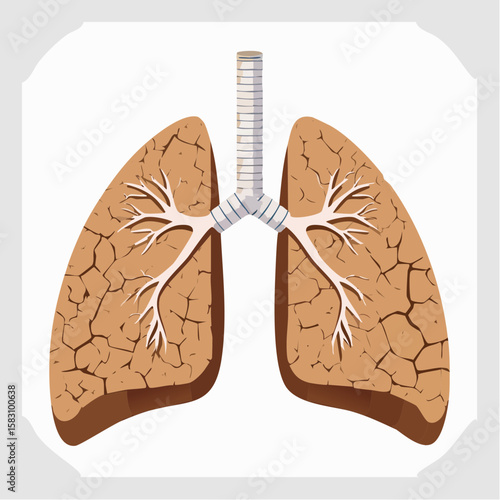 Human lung silhouette with cracked earth texture illustration