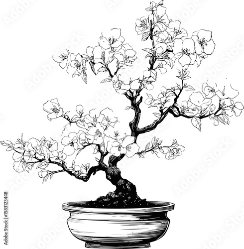 Black and white illustration of a blooming bonsai tree in a pot