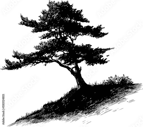 Silhouette of a lone tree on a hill with intricate branch details