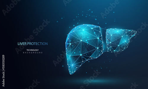 Liver AI technology background. Healthcare medical wireframe liver. Futuristic anatomy organ. Ai vector illustration. Innovative treatment and diagnostic liver cancer. 