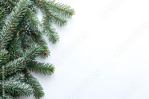 Close-up of fresh green fir branches with light dusting of snow on a white background, creating a festive winter border.