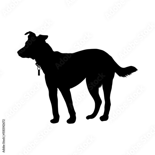 Silhouette of Standing Dog Wearing Collar