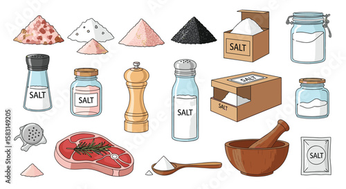 Assorted collection of salt varieties and seasoning tools for culinary enhancement