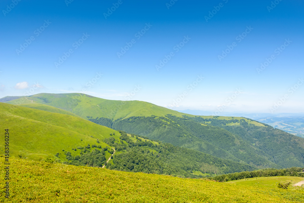 Fototapeta premium discover the beauty of mountain landscape in summer. scenic travel background with green hills and steep slopes. alpine environment under clear blue sky.