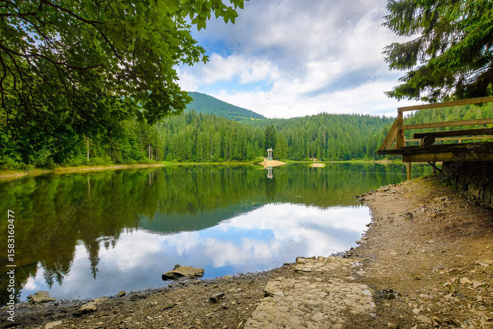 Fototapeta premium remote mountain landscape with forest lake in summer. travel nature background of synevyr national park on a sunny day. scenic view of coniferous trees reflection in water. vacation season in ukraine