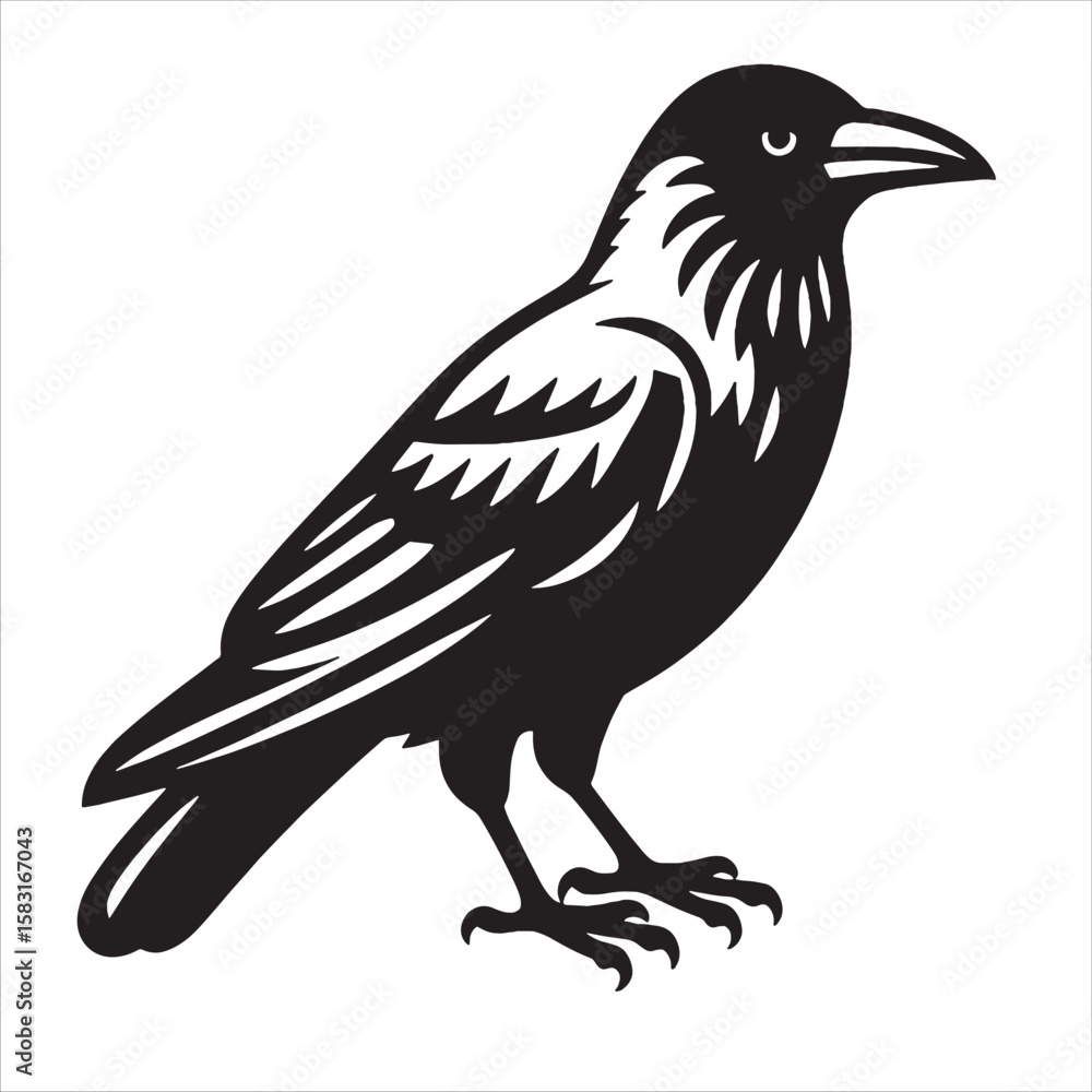 Fototapeta premium Crow svg 